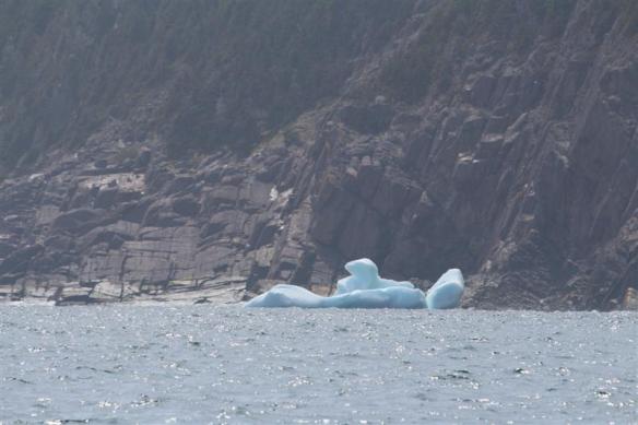 Remnants of an old berg, called a growler.