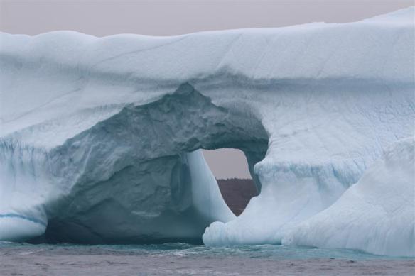 Just cannot find words to describe this beauty......