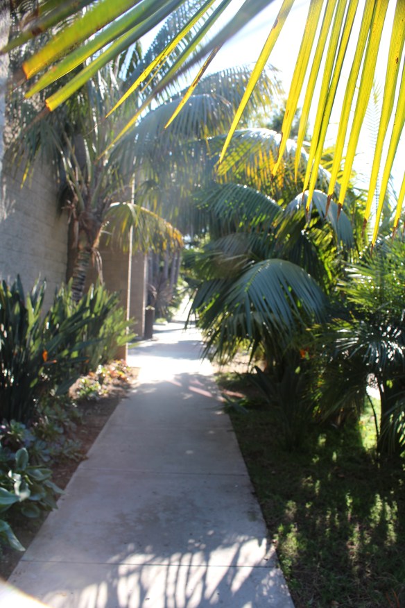 Wonderful little shady streets to walk in.