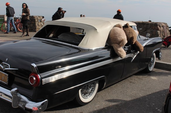 A bears view of the bridge!! i found these guys in the parking lot.