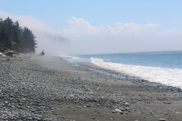 The fog rolls in overnight, and slowly dissipates during the day.....