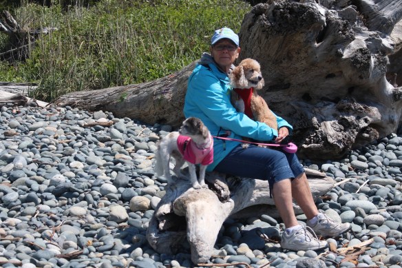 Wonderful photo of Ineke with Lucy and Suki