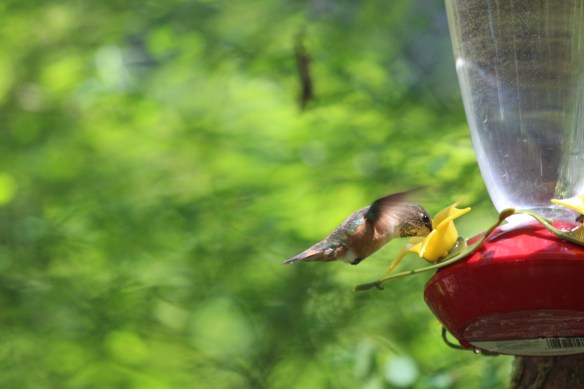 she kept a close eye on me...