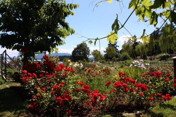 view from our quiet little bench