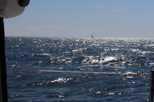 underway, other sailboats took advantage of the wind too.