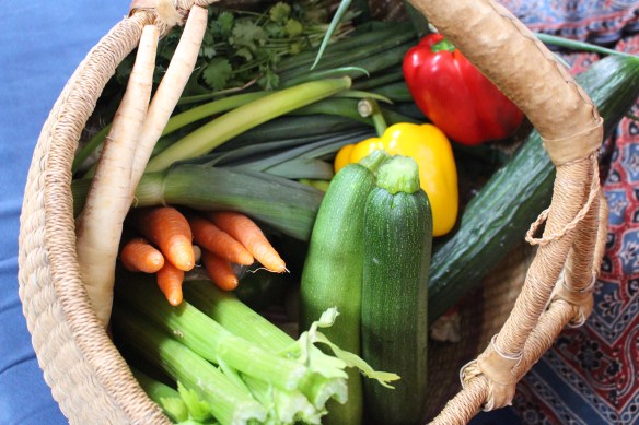 comox watersports Pender harbour  SV gaia 005