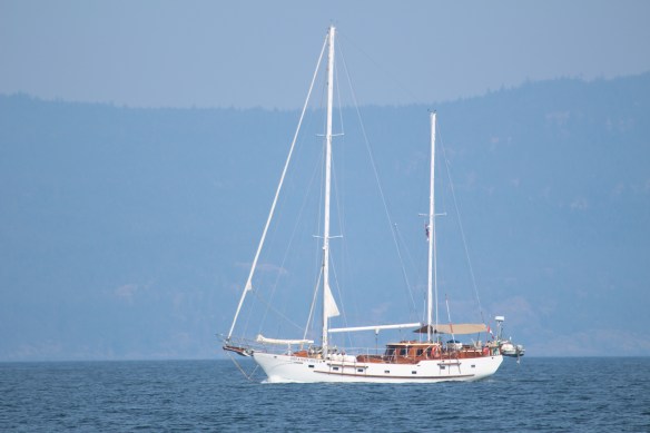 Boats we meet, "Dreamspeaker II "