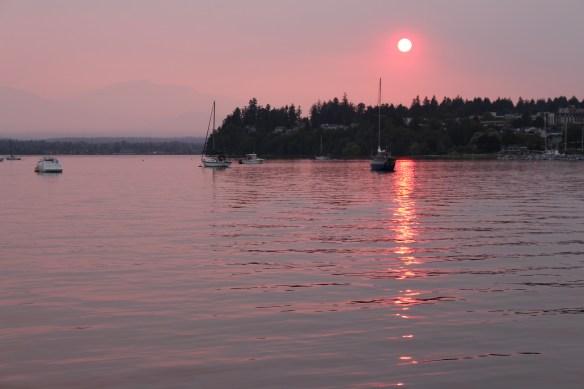 A red sun, shining through the smoke,everything was pink.