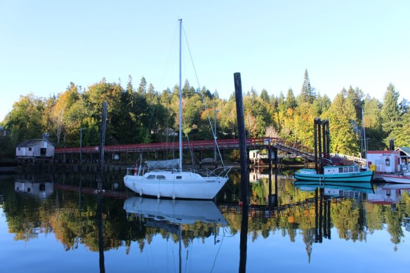 lace laundry and Balandra 022 (Medium)