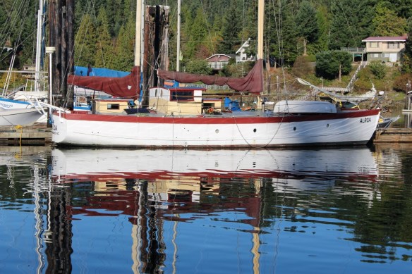 lace laundry  and Balandra 029 (Medium)