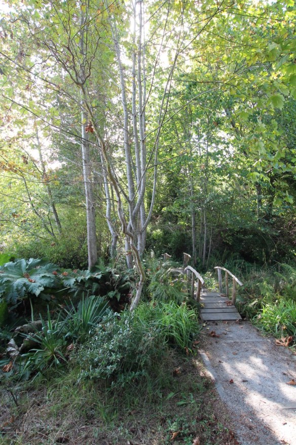 Little walkway to Hospital bay.