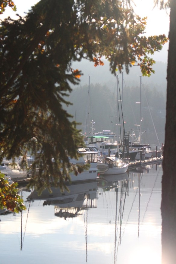 View at the marina , Curtsy at the main dock.