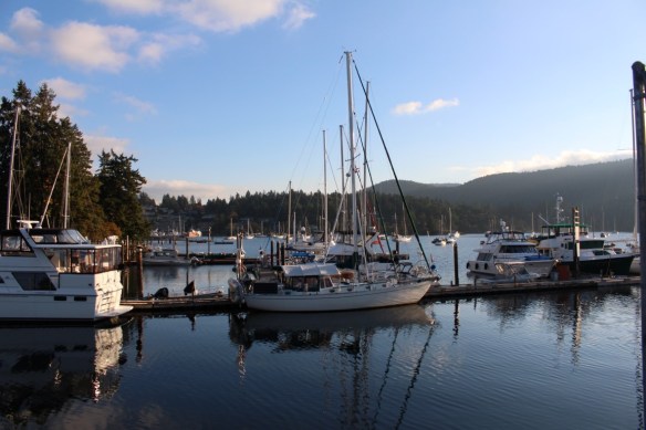 curtsy   closeup flowers 027 (Medium)