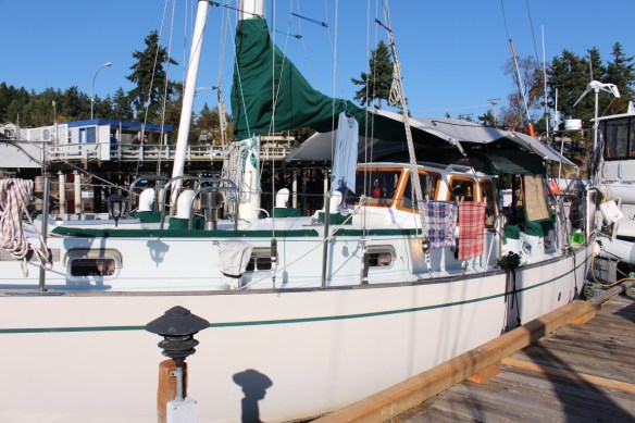 curtsy in Brentwood bay 017 (Medium)