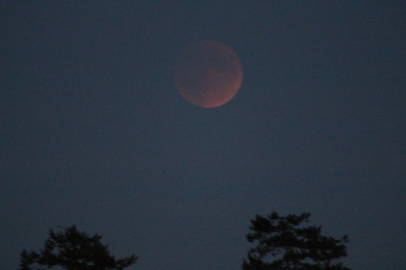 Harvest moon, blood moon.