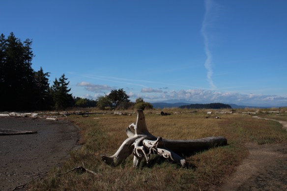 Low water , looking towards the North.