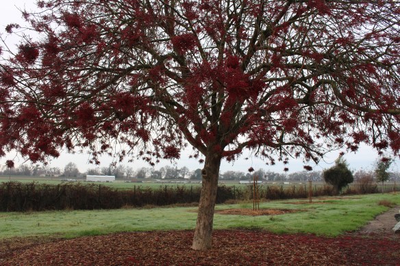 2016 trip South to Mexico 007