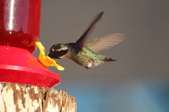 2016 trip South to Mexico 155