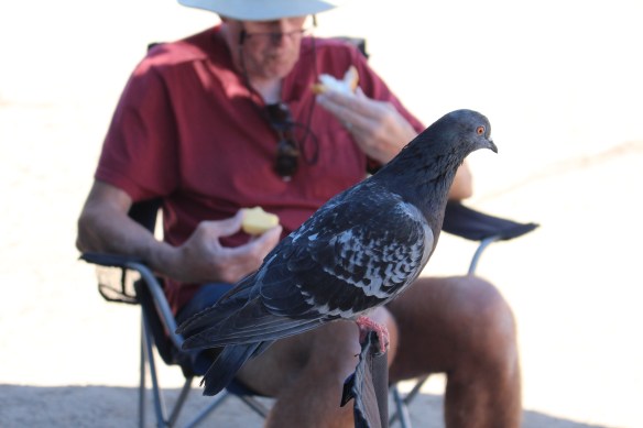 2016 trip South to Mexico 185