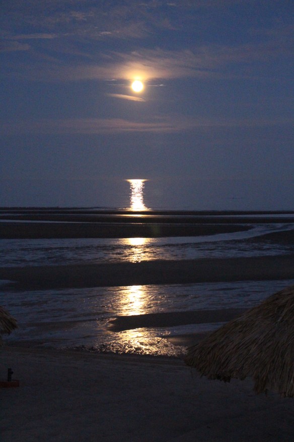 2016 trip South to Mexico 192