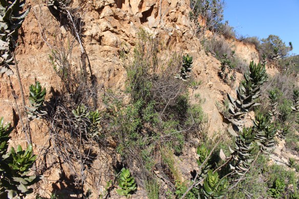 2016 trip South to Mexico 214