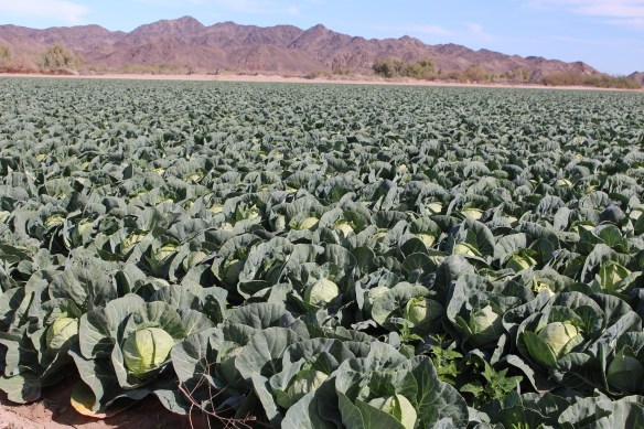 2016 trip South to Mexico 265