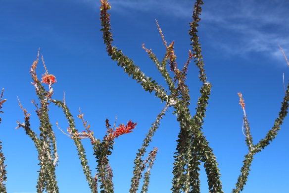 2016 trip South to Mexico 295