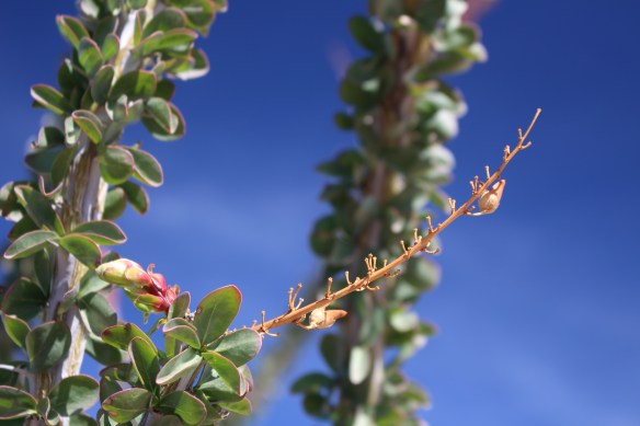 2016 trip South to Mexico 298