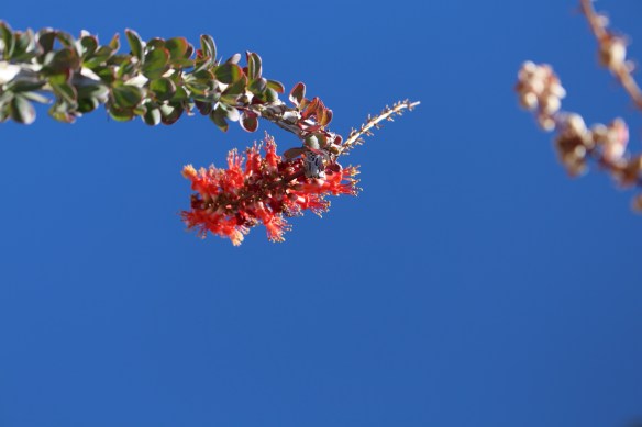 2016 trip South to Mexico 299