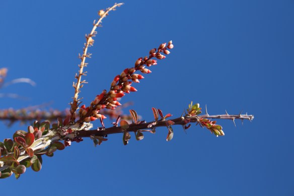 2016 trip South to Mexico 300