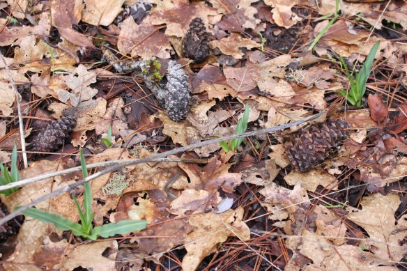 2016 trip South to Mexico 393