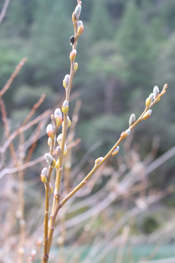 2016 trip South to Mexico 402