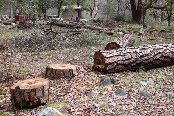 2016 trip South to Mexico 409