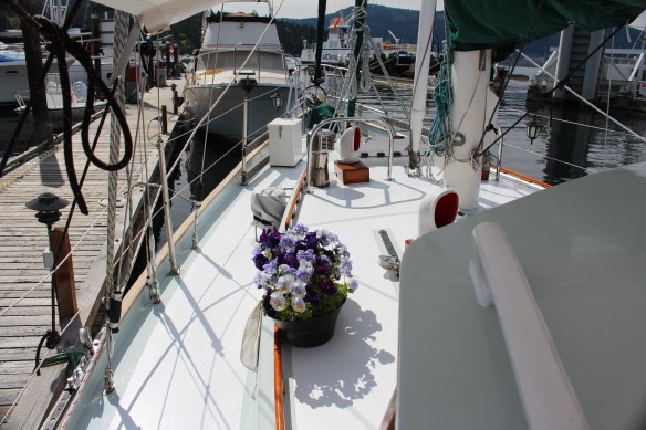 beading stuff   wild flowers   toerail on boat 014