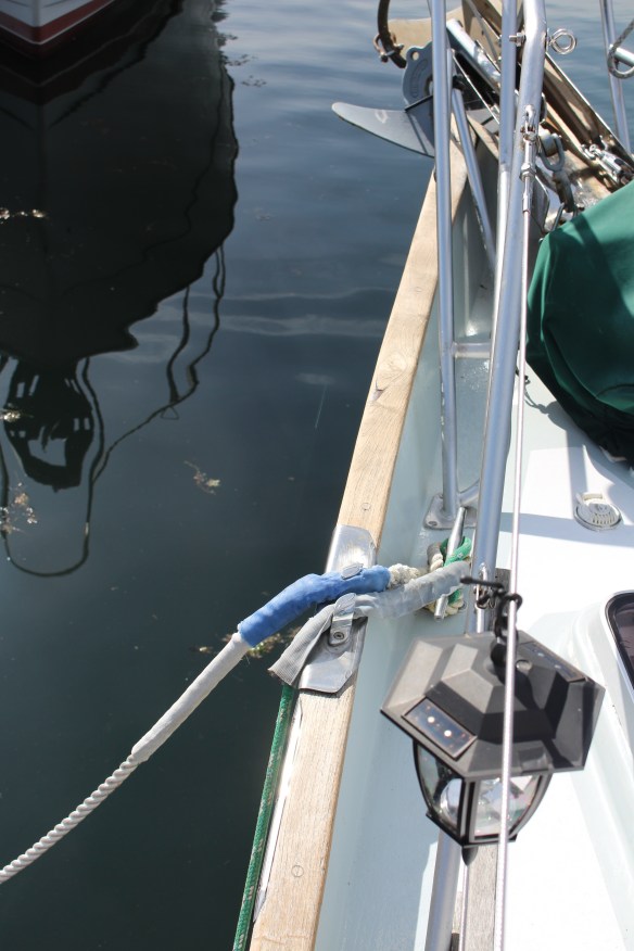 beading stuff   wild flowers   toerail on boat 017