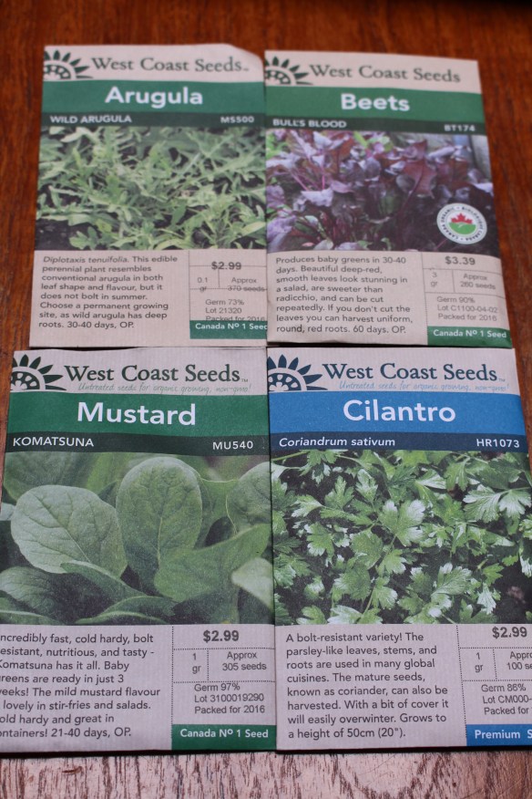 hanging art on the boat and about growing vegies 027