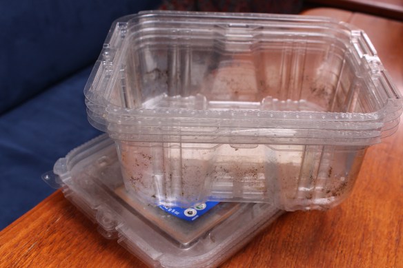 hanging art on the boat and about growing vegies 028