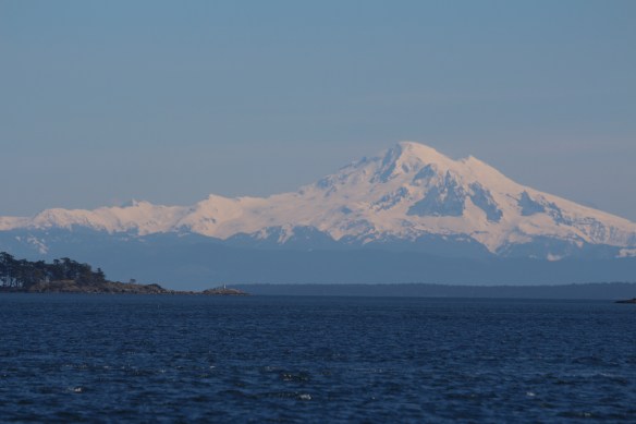 James island    orchard and seals 006