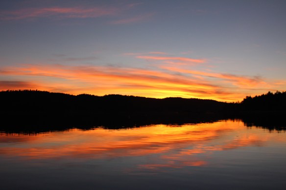 James island orchard and seals 073