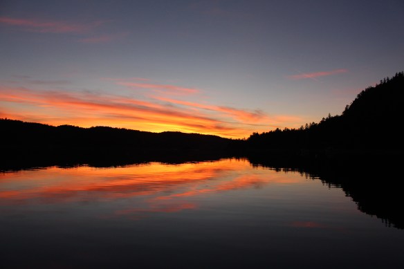 James island orchard and seals 077