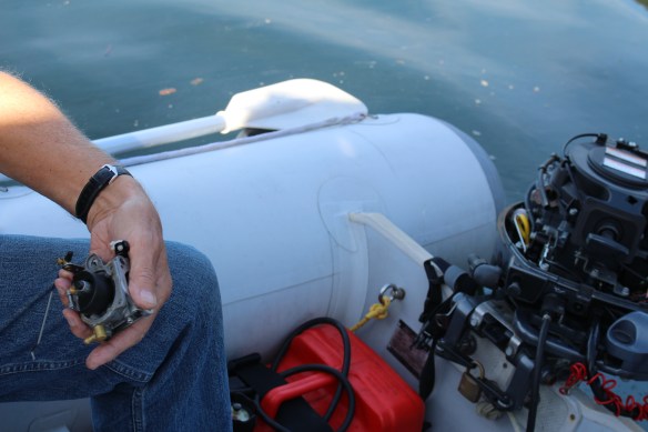 James island orchard and seals 081