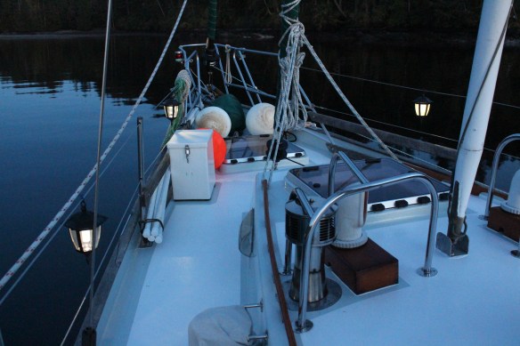 James island    orchard and seals 122