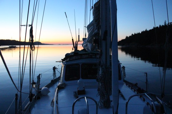 James island    orchard and seals 125