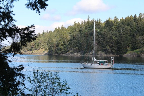 James island    orchard and seals 134