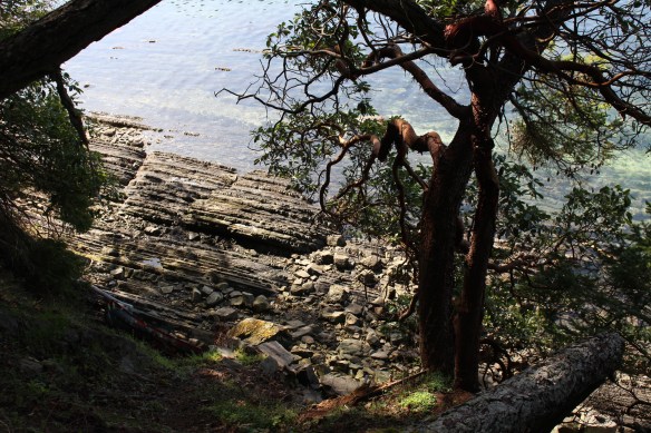 James island    orchard and seals 165