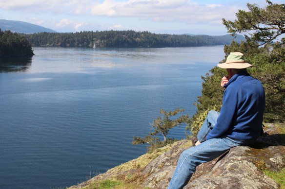 James island    orchard and seals 177