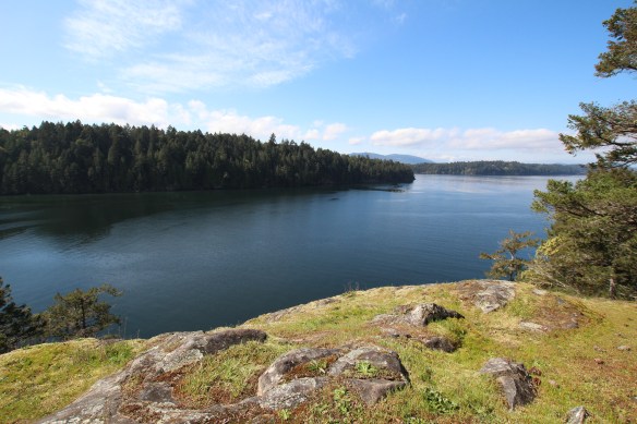 James island    orchard and seals 182