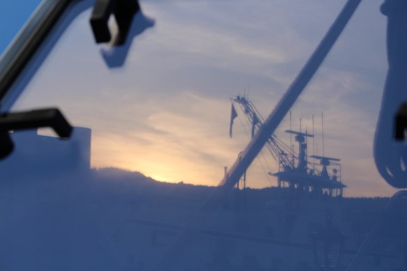 Mark and Kora     wildflowers 016