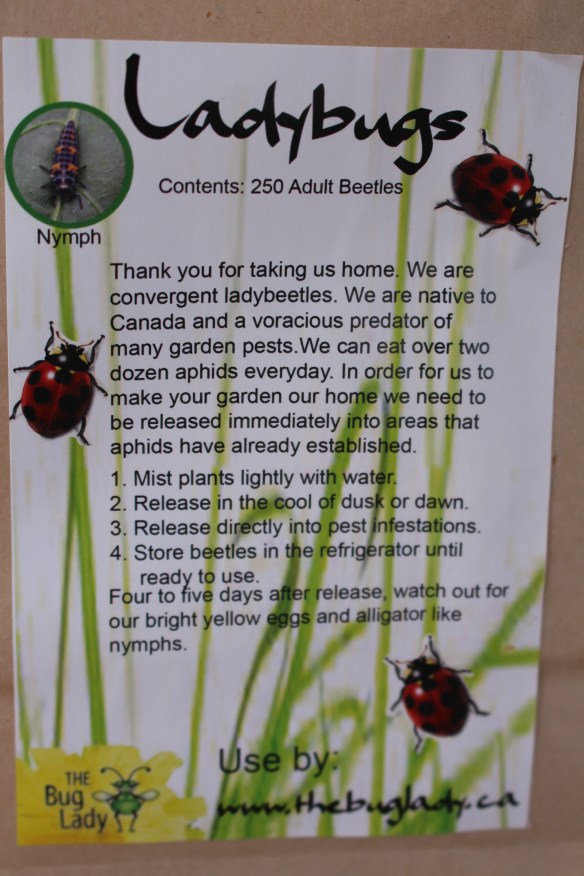 veggies and flowers 016