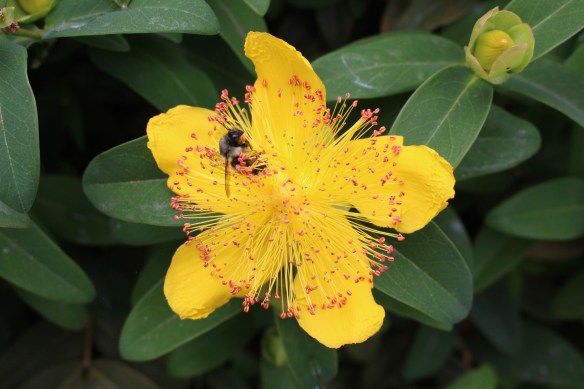 beautiful skies and beading 004